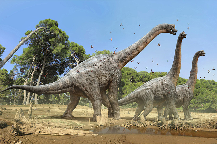 Una efectiva Proponer Incontable Tierra de gigantes: El brontosaurio - Historia de la Vida