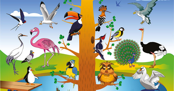 Las aves y sus particularidades - Historia de la Vida