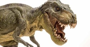 ¿Los dinosaurios eran herbívoros?