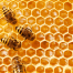 La importancia de la miel